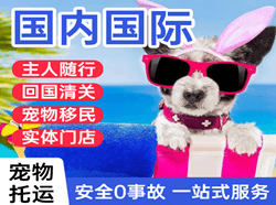 北京航空快递国际宠物托运 【国